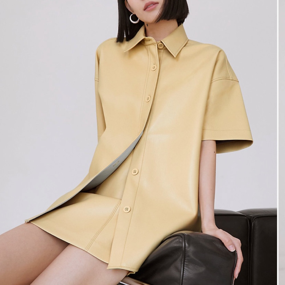 Aritzia Frances Button Up Vegan Leather